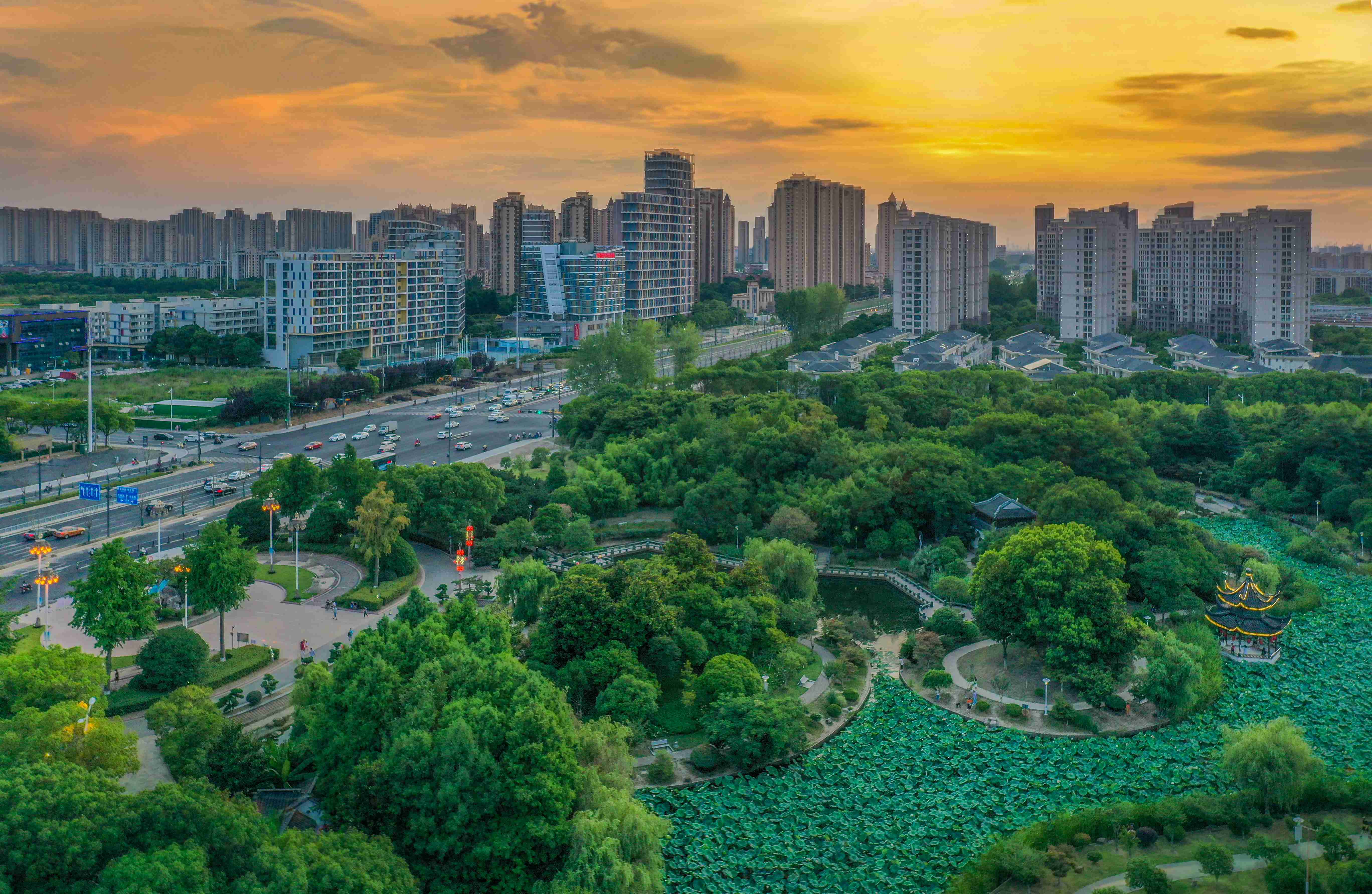 江苏昆山花桥:一抹晚霞,一缕清新,一曲雅韵,守候一城静美_李俊锋_经济