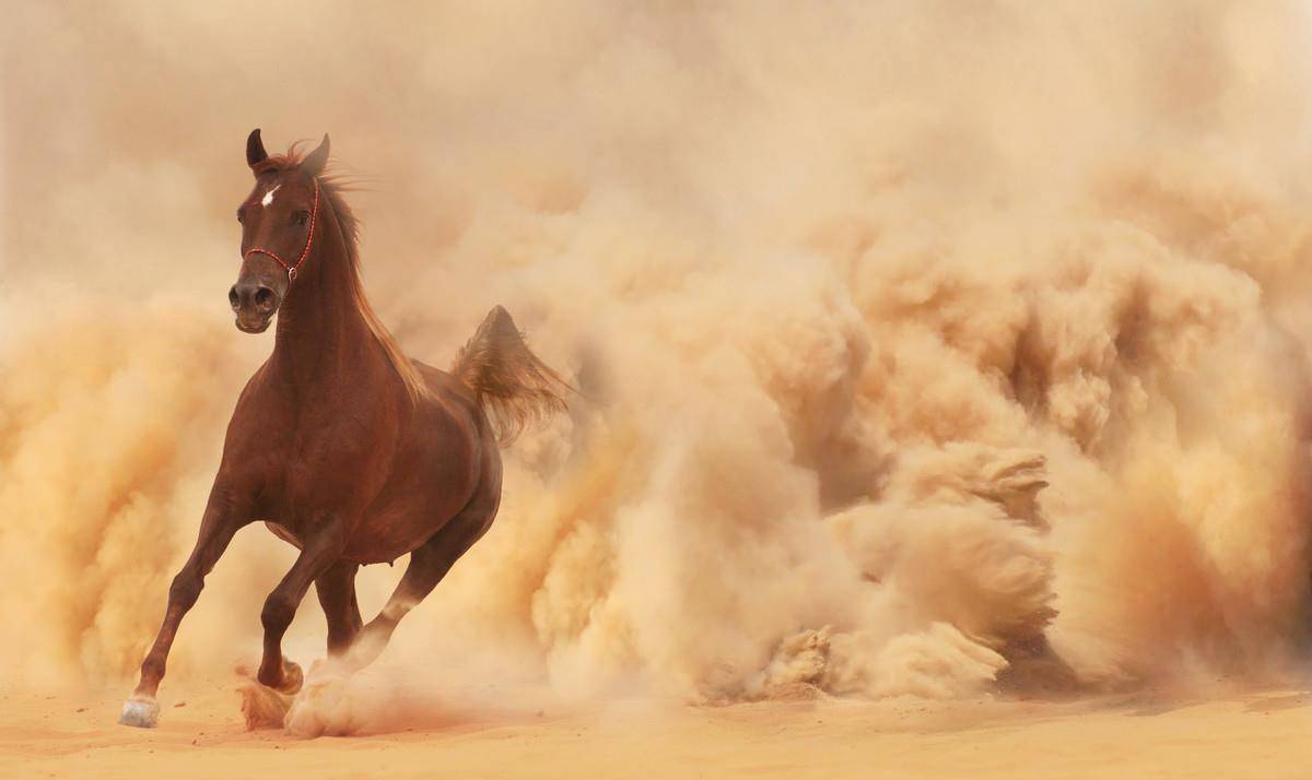 "太白仙才,长吉鬼才"的说法,似乎给二人定了性,李白是仙气飘飘的仙才