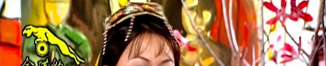 卓依婷被迫死亡真相_卓依婷假死事件详细情况_人间第一情卓依婷