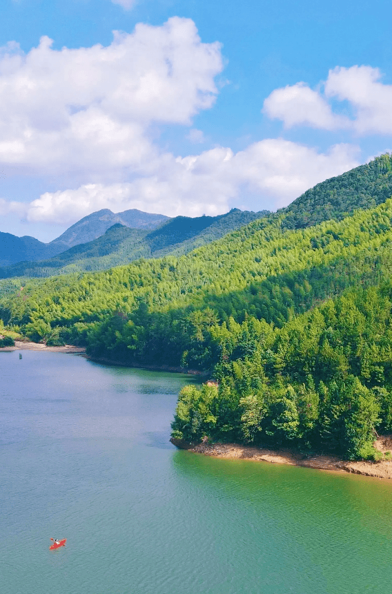 福建邵武云灵山,古树参天,万木峥嵘_云灵湖_皮划艇_峡谷