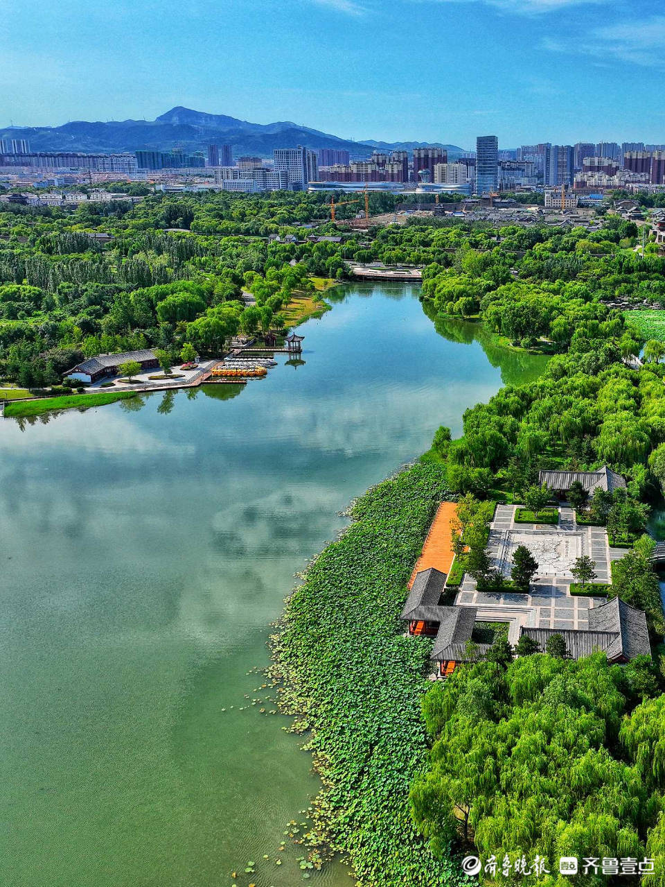 济南章丘绣江河公园风景如画,仿佛置身江南水乡_情报员_齐鲁_荷花