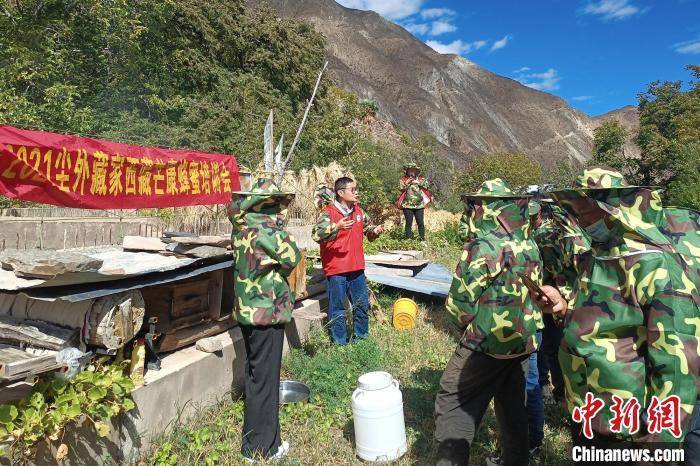 西藏芒康澜沧江畔的"甜蜜"产业_援藏_蜂蜜_木许乡