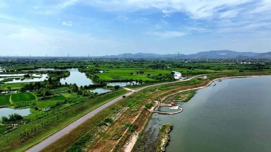 抗旱_许镇镇_南陵县