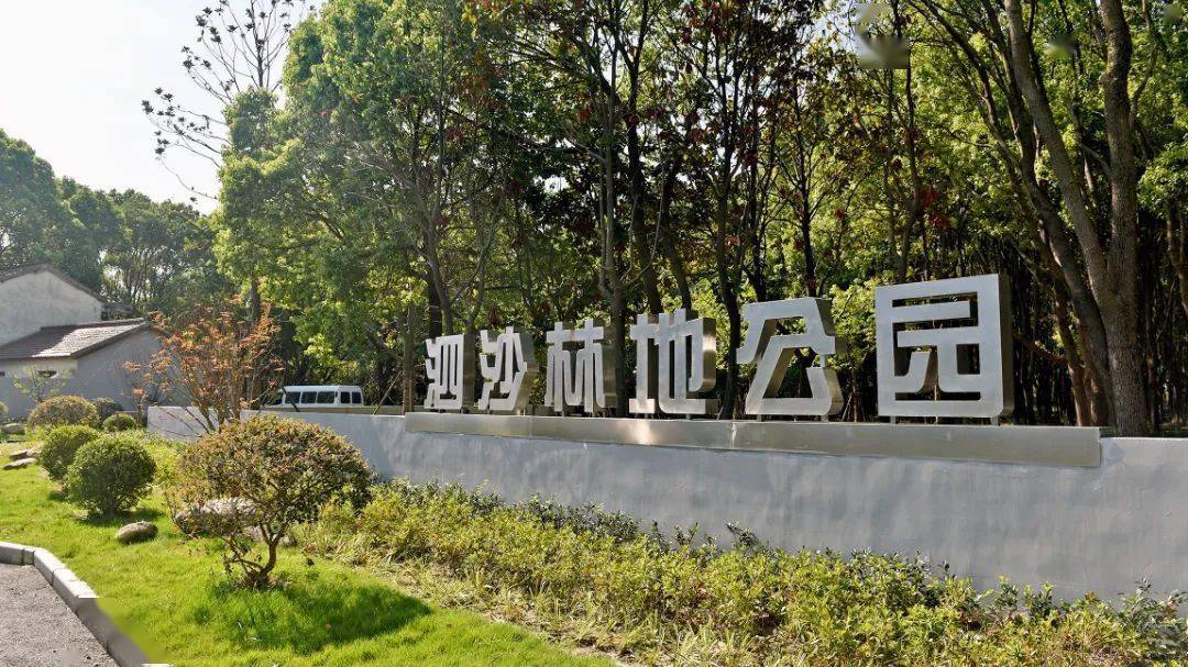 青浦这处新建的林地公园太美了~_改造_徐泾镇_沙林