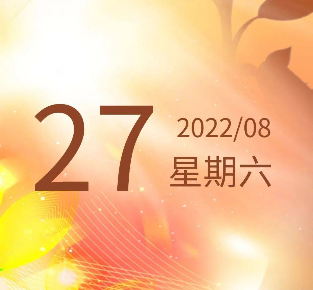 阅读日历·向阳生长 | 8月27日，宜在自己的位置上_质数_保罗·乔尔达诺_马蒂亚
