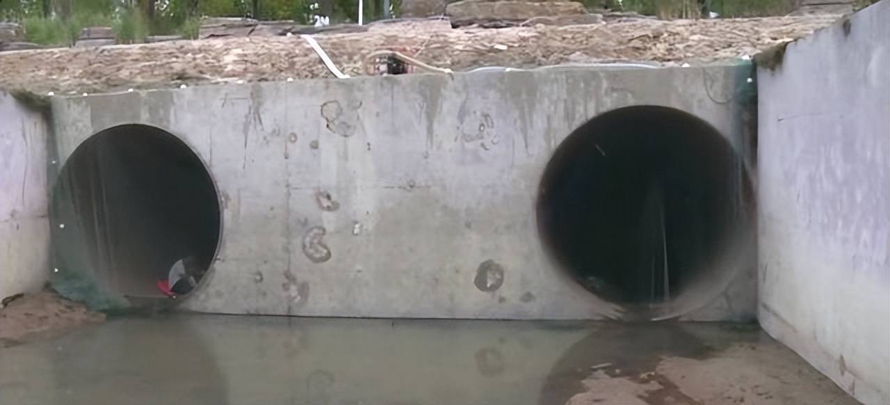 河南汝州2条鳄雀鳝被捕获！官方表示抽掉的湖水会放回，多个电商平台紧急下架鳄雀鳝