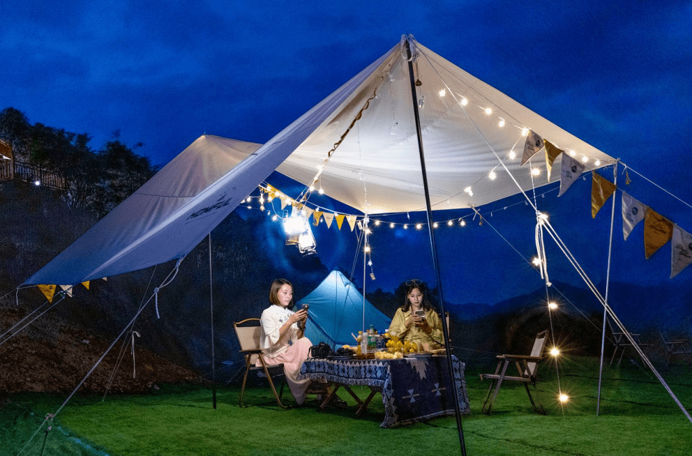 荷叶_湖光塔影_满天