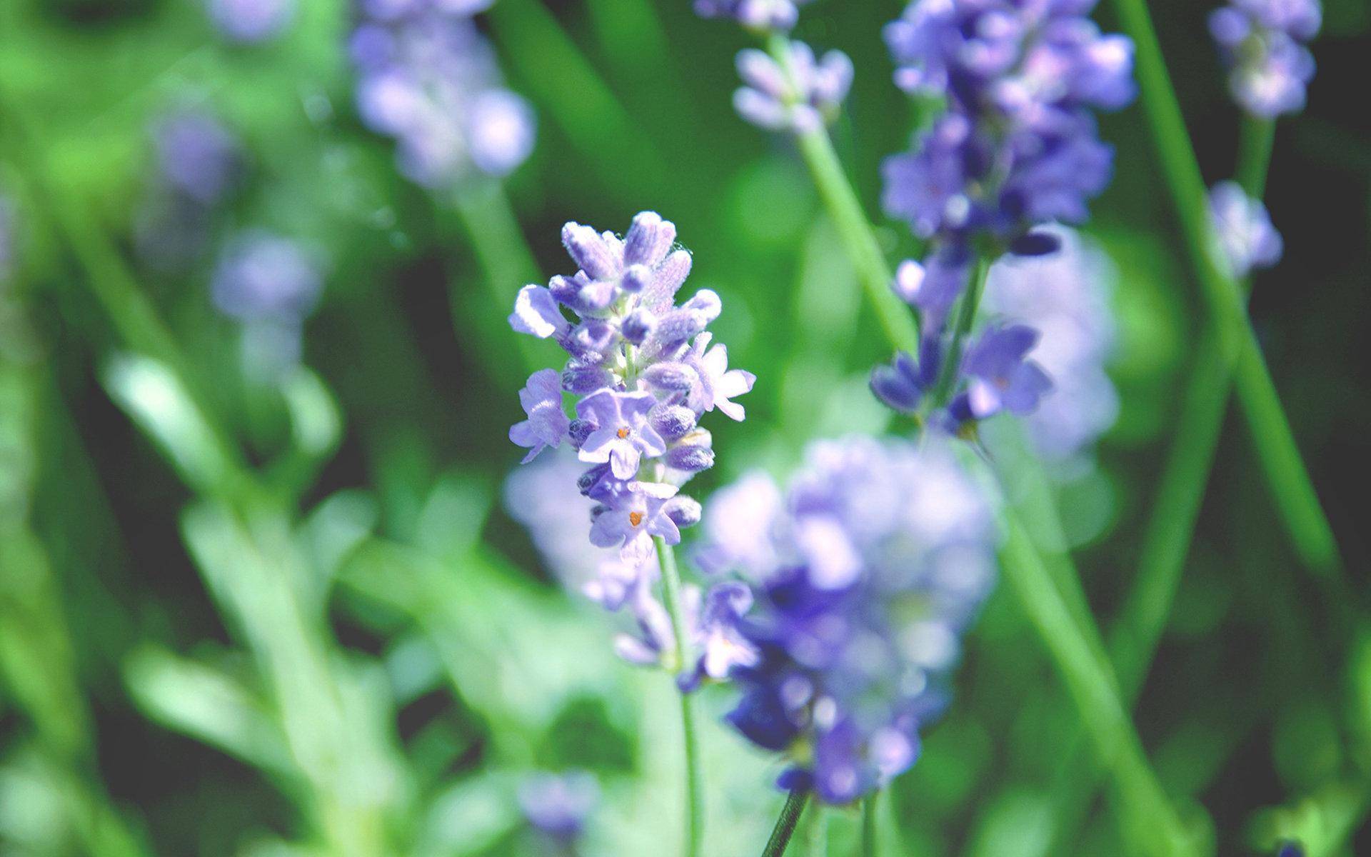 8月27日 9月2日星座运势 越挫越勇 扬眉吐气的四大星座 生活 未来 方面