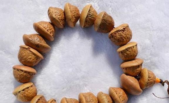 广西,以及印度,越南等地都均有分布,天竺菩提具有壮阳的特殊功效