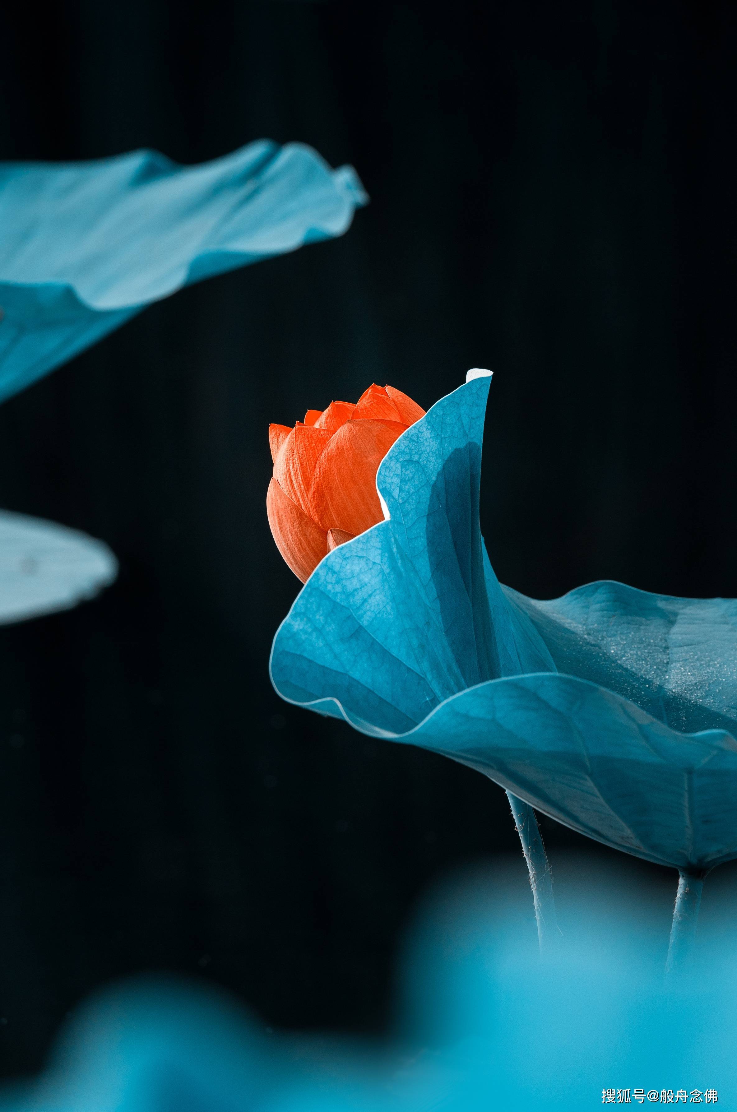 境界_师父_是非