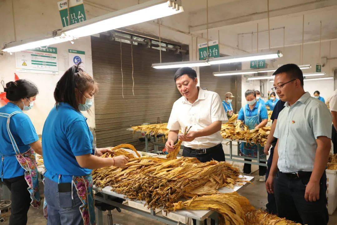 旺卫到黄都镇调研督导当前重点工作_群众_抗旱_生产