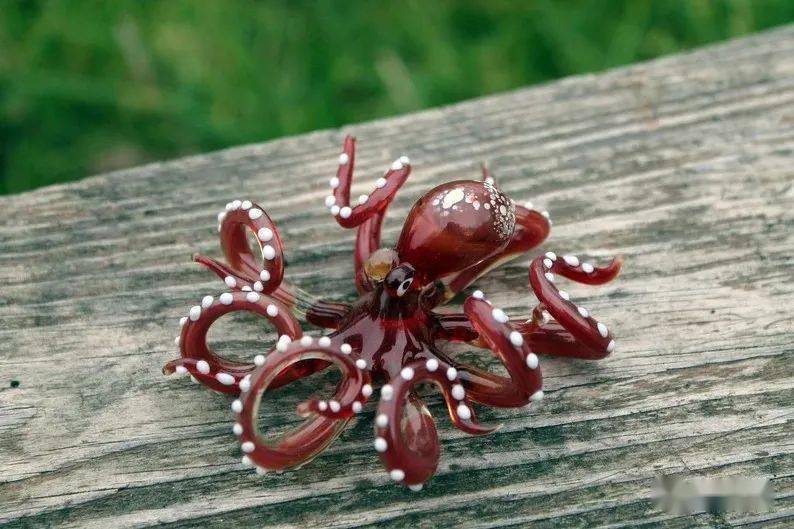 唯美的玻璃章鱼._摄影_nikita_艺术