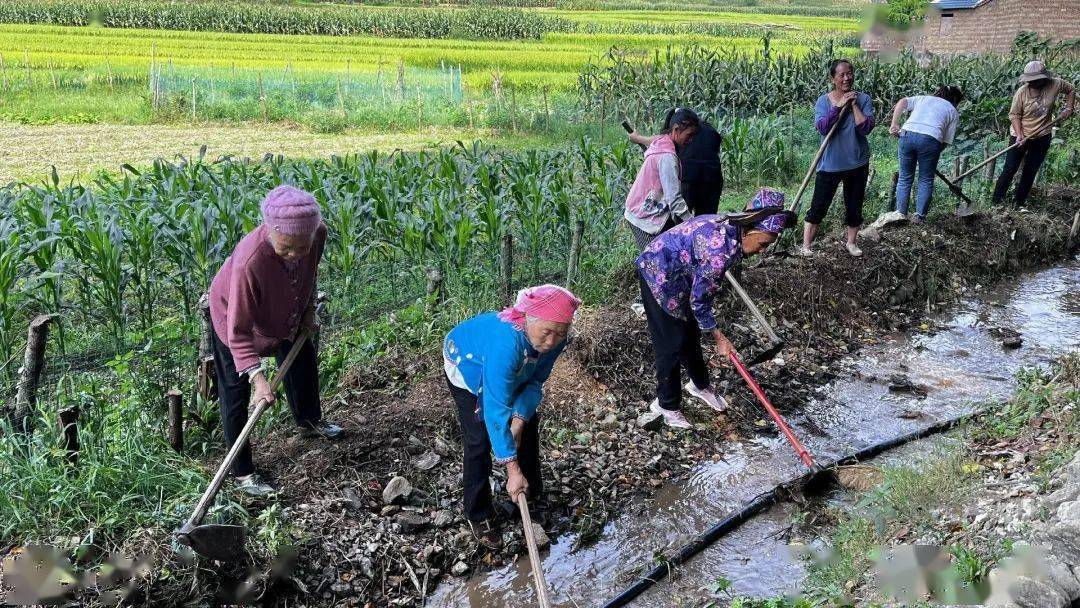 砚山县蚌峨乡"牛粪村"向美丽村的华丽蝶变!_太学_建设_村民