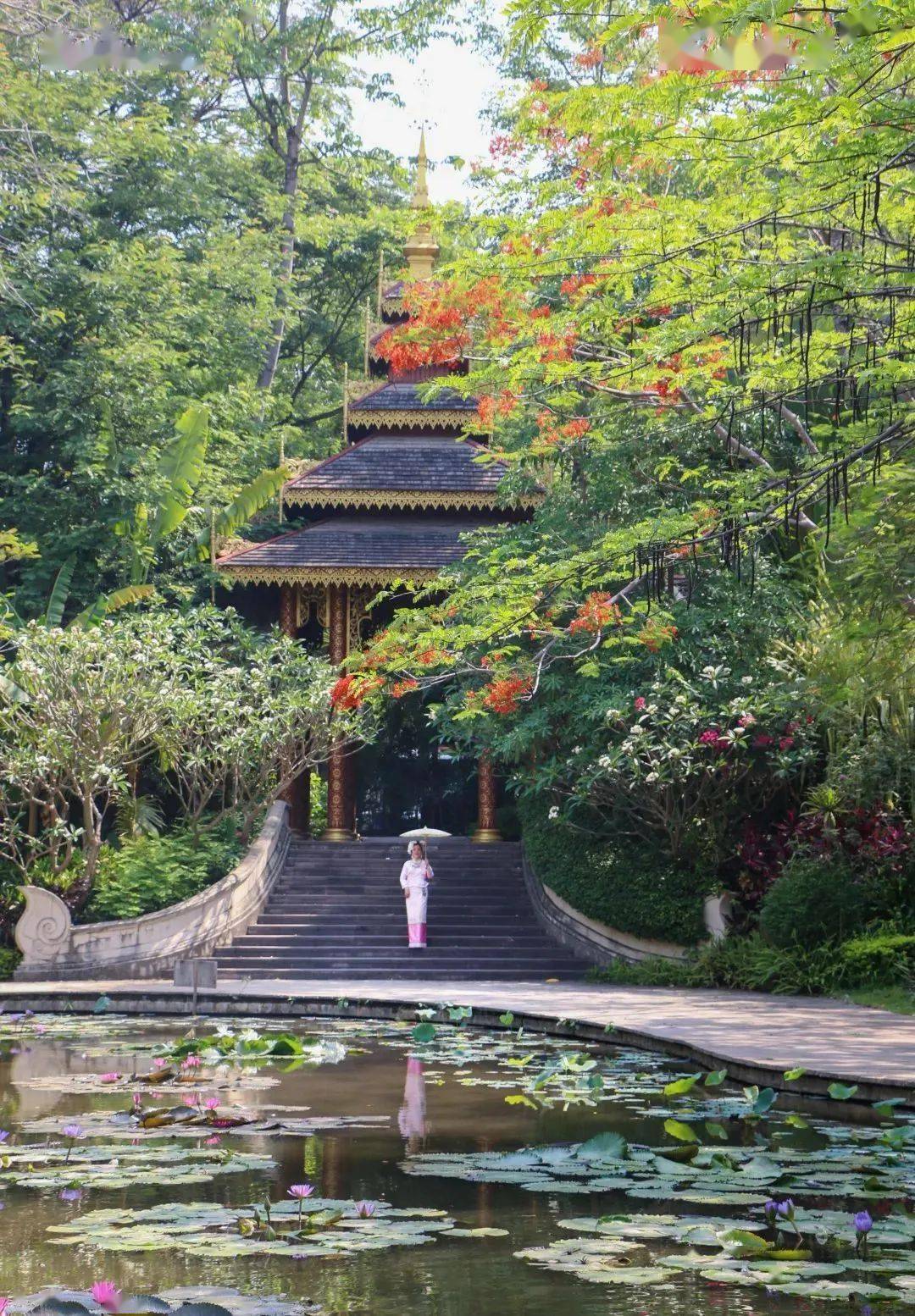 曼听御花园景区图片