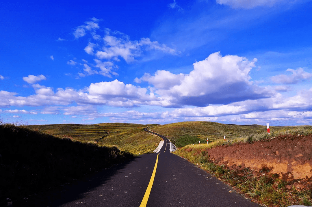 张北草原天路:体验坝上最美风光_游客_景区_旅游