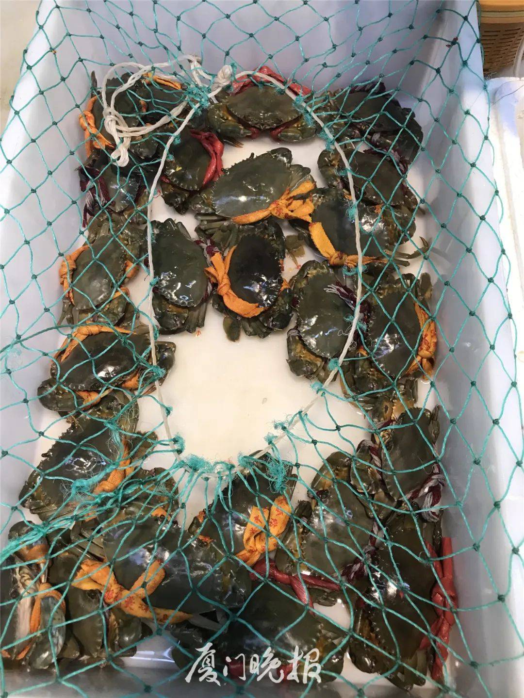 又到了这个美食