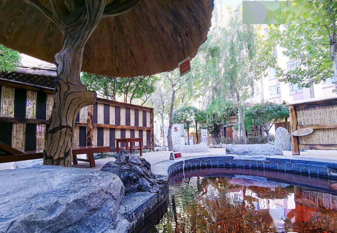 温泉水_宁夏_沙漠