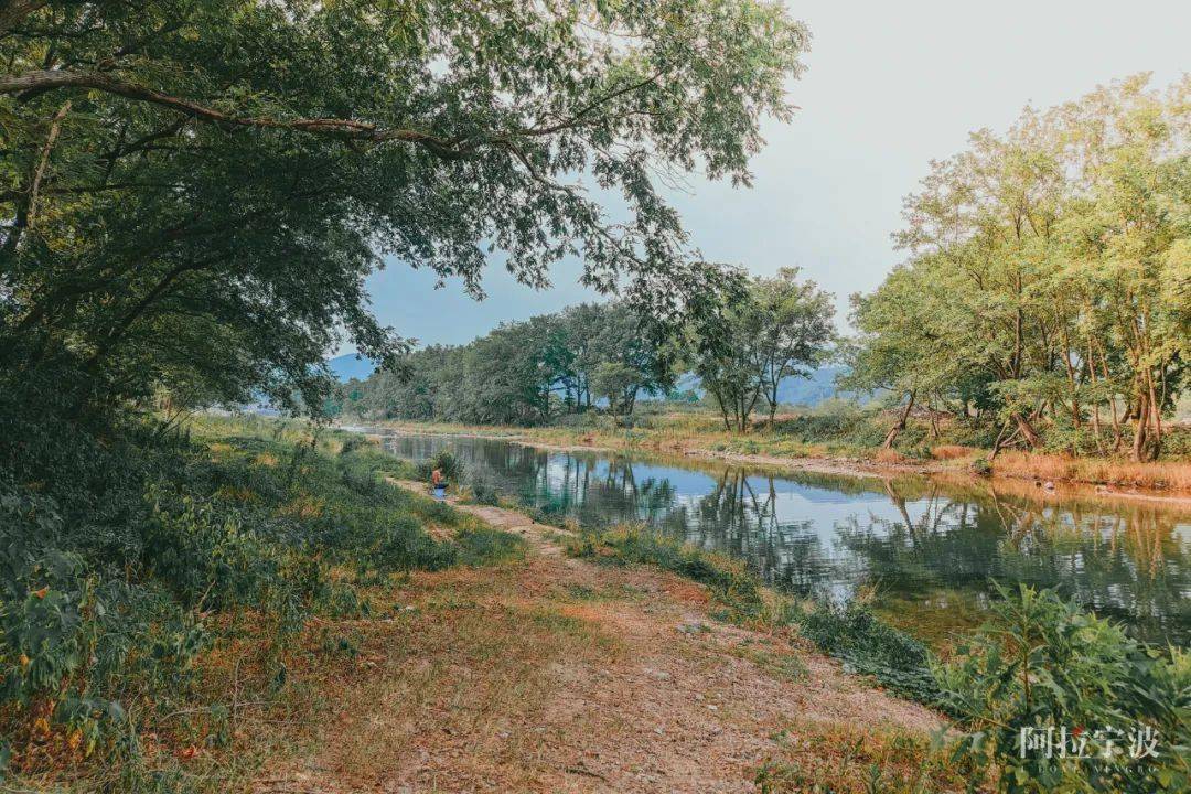 夏日避暑,寧波人的戶外玩水清涼地彙總_新灣_沙灘_龍觀鄉