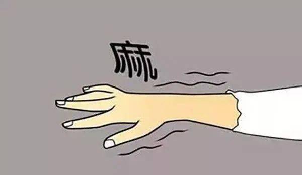 循环_人体_手臂