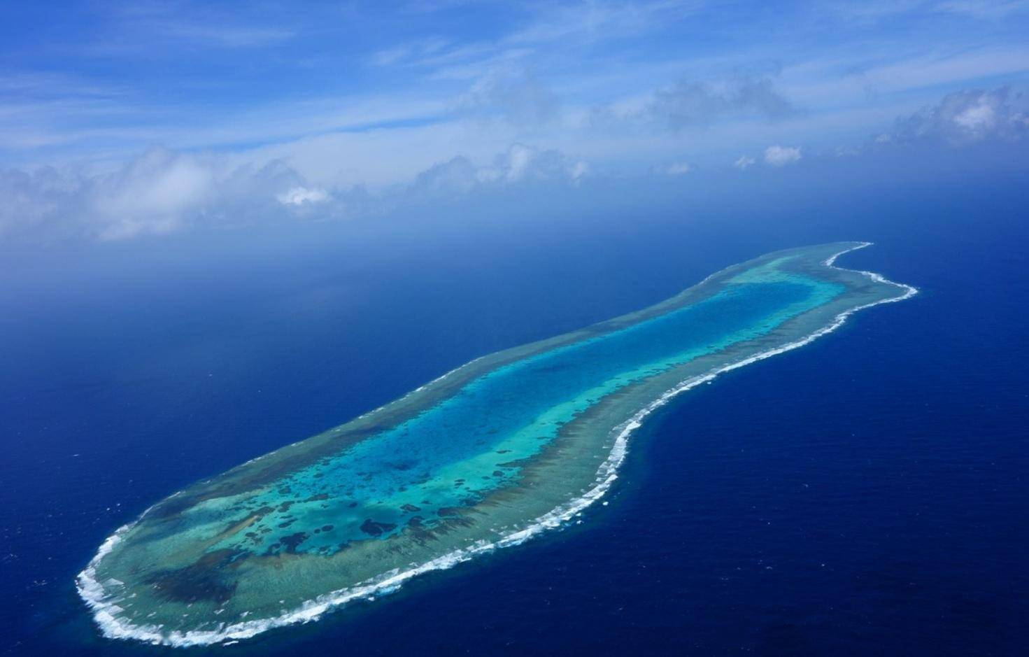 中国南沙七岛上演绿色奇迹,仅用8年时间,岛上随处可见大片森林_岛屿