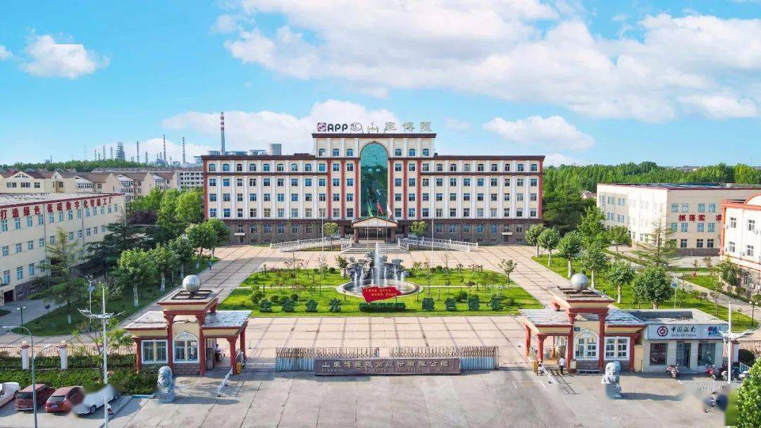 喜报| 山东博汇纸业股份有限公司又添一项省级荣誉_智能_数字化_瓦楞