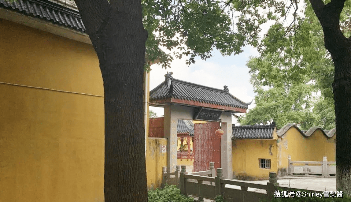 上海500年古寺，主持每日与9000只猫狗为伴，没空诵经礼佛却依旧感动众人