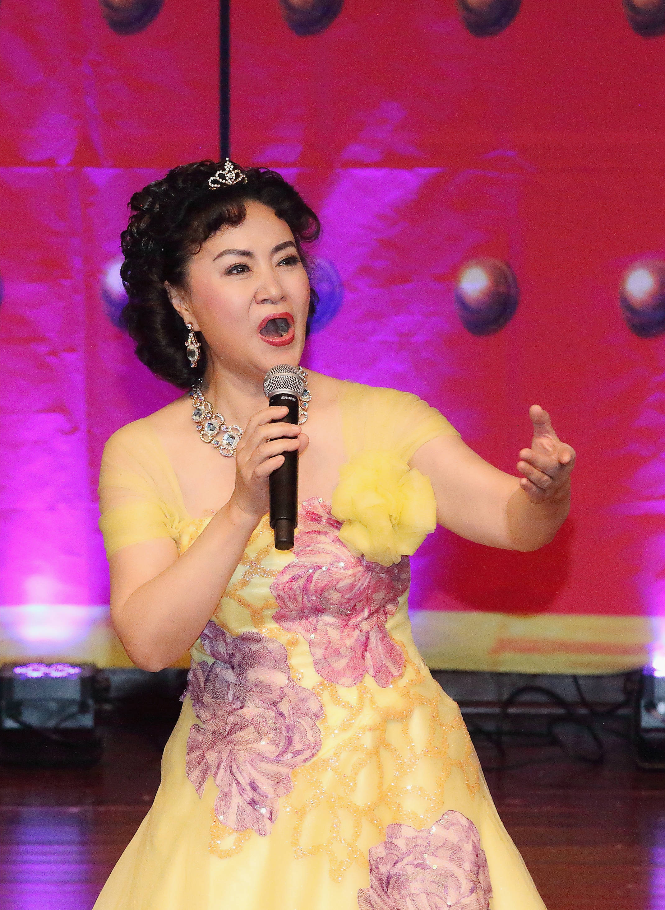 艺术为了和平——"国际和平艺术家"推选人物:张莉_人民军队_中国_世界