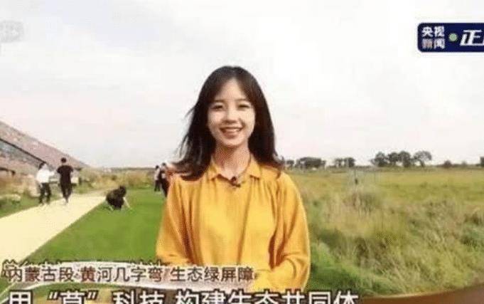 电视美女记者王冰冰,为何引起网友关注,和她的甜美笑容有关_照片_形象_漂亮