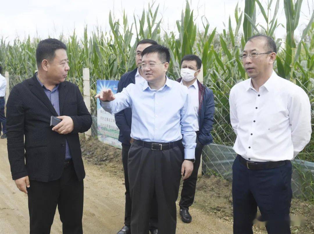 市委副书记,市长王吉(中)在舒兰市白鹅产业园项目地调研项目建设情况.