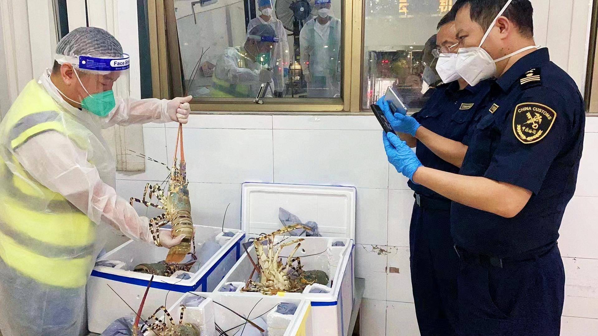 前7月广州海关关区进口非洲农产品增长近5成_查验_检疫_监管