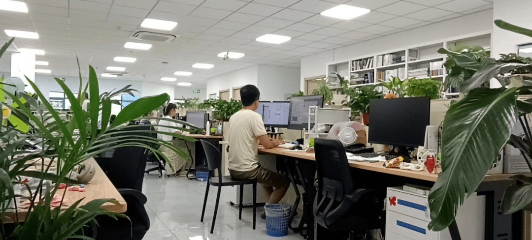 集成电路_园区_设计能力