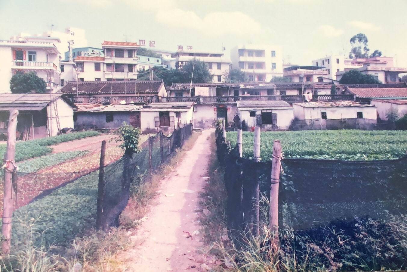 走读龙岗|"西核"坂雪岗:从"三来一补"到世界级产业高地_岗头村_发展