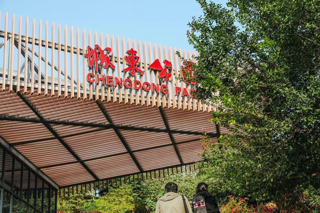 宜昌城东公园里,藏着属于极限运动大神的宝藏_自行车_城市_落叶