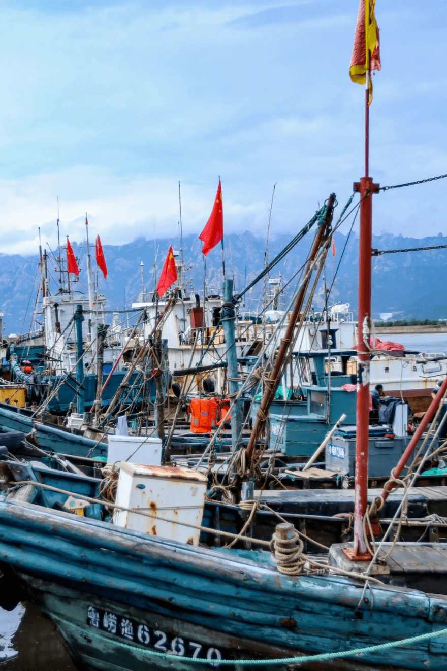 鳌山卫码头图片