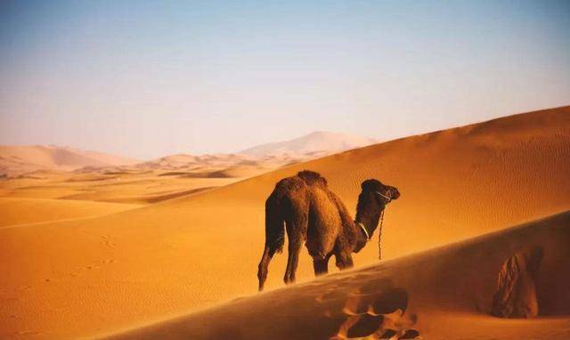 撒哈拉大沙漠下面，埋藏着什么“秘密”，专家的回答让人想不到