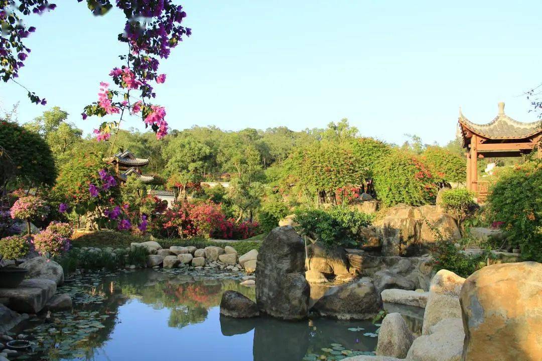 人民日報報道:馬嶺觀花,大美花都!_花卉_植物園_產業