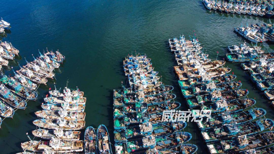 威海"海鲜码头"攻略马上安排!_中国海_美味_市场