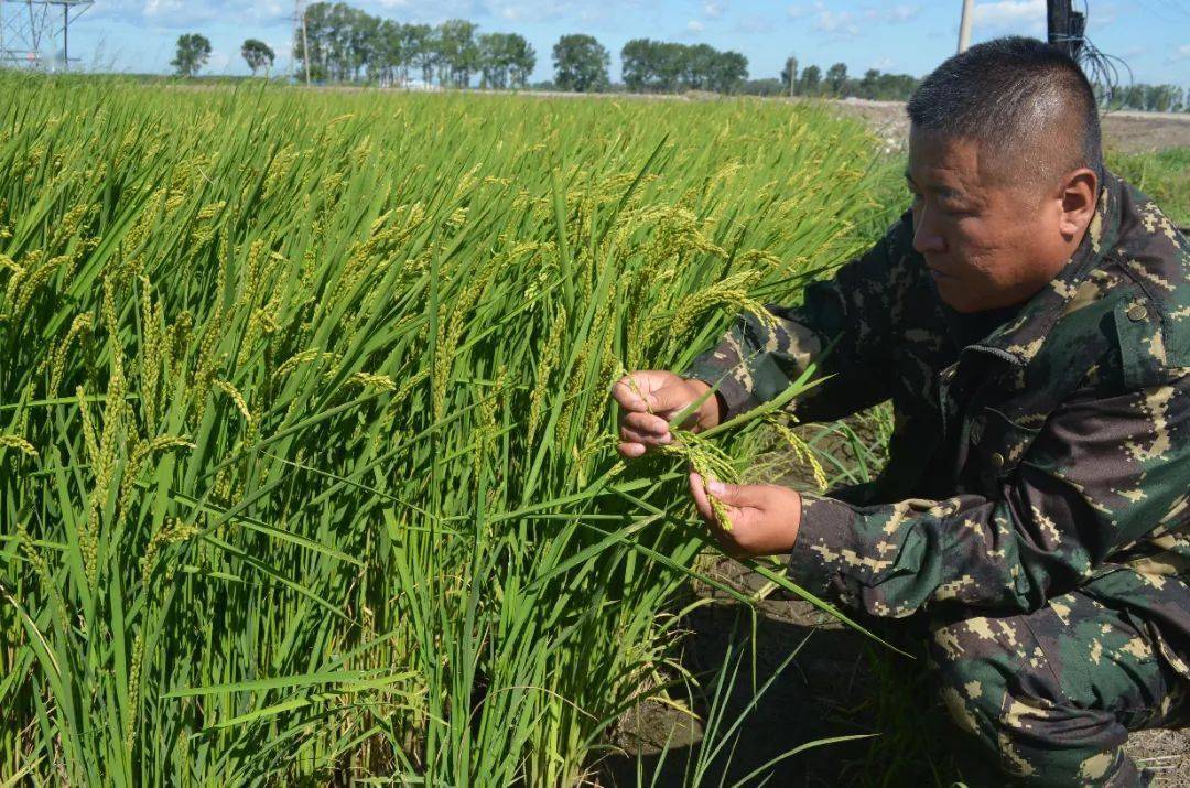 黑龍江監獄系統3名職工榮獲