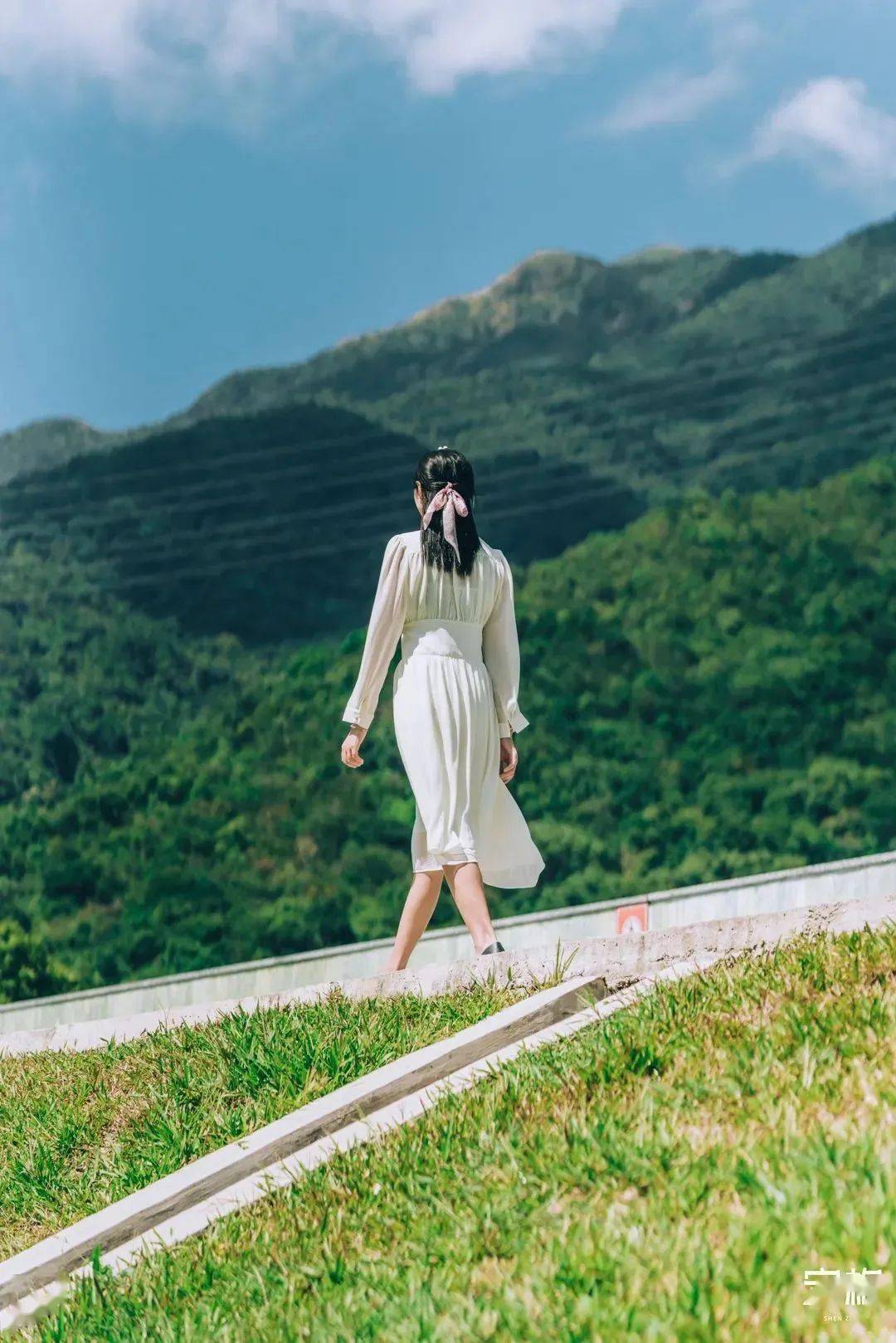 深圳人,这周末在家"云旅游"吧!_水库_梅林_栈道