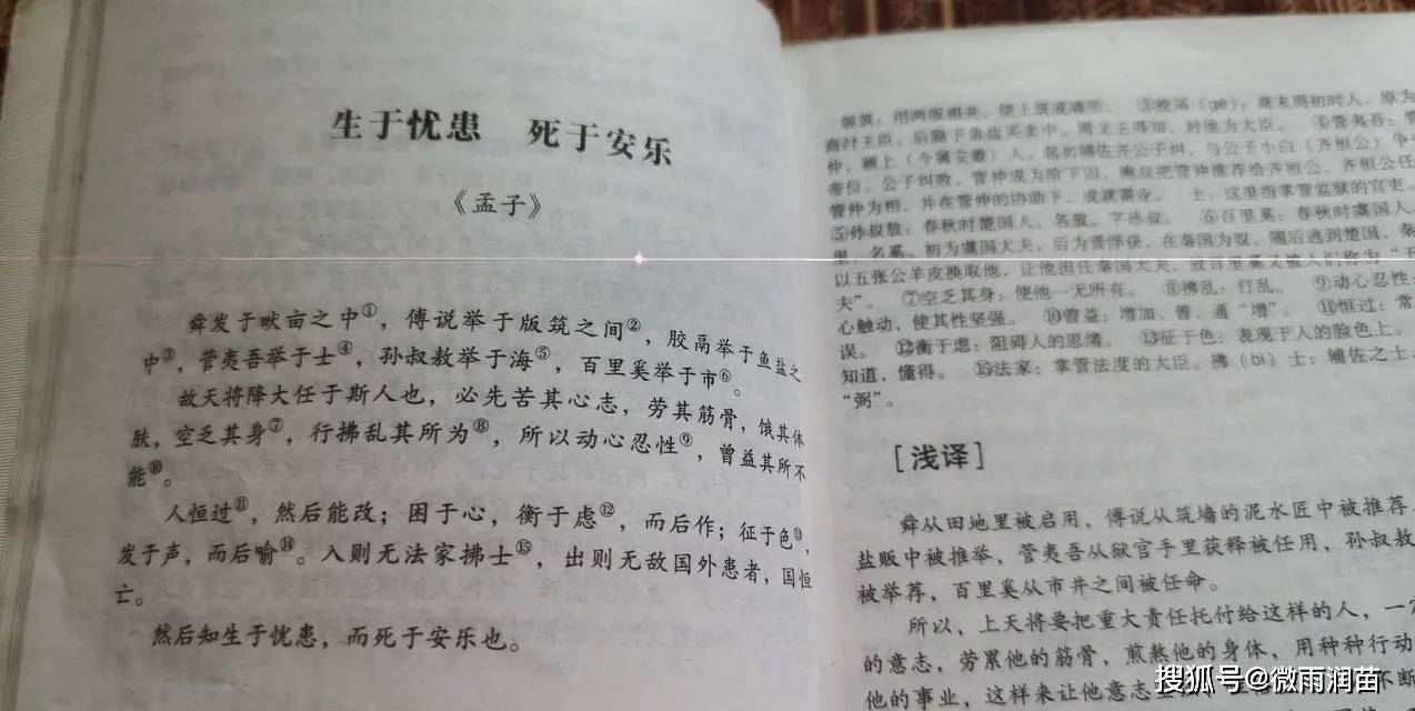 语文_饭盒_阿泰