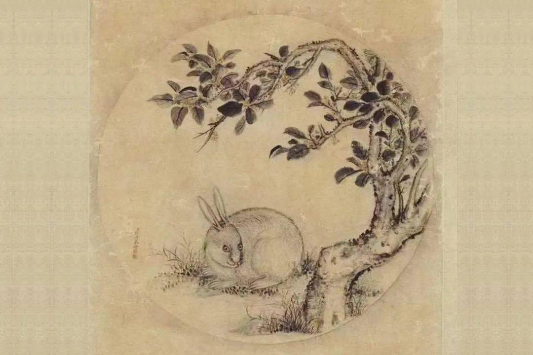 玉兔望月的简笔画图片