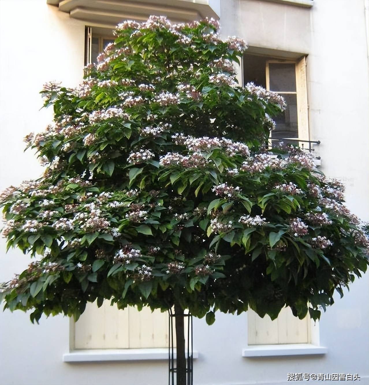 适用于江苏,浙江,安徽,湖南,湖北,江西,河南,山东等