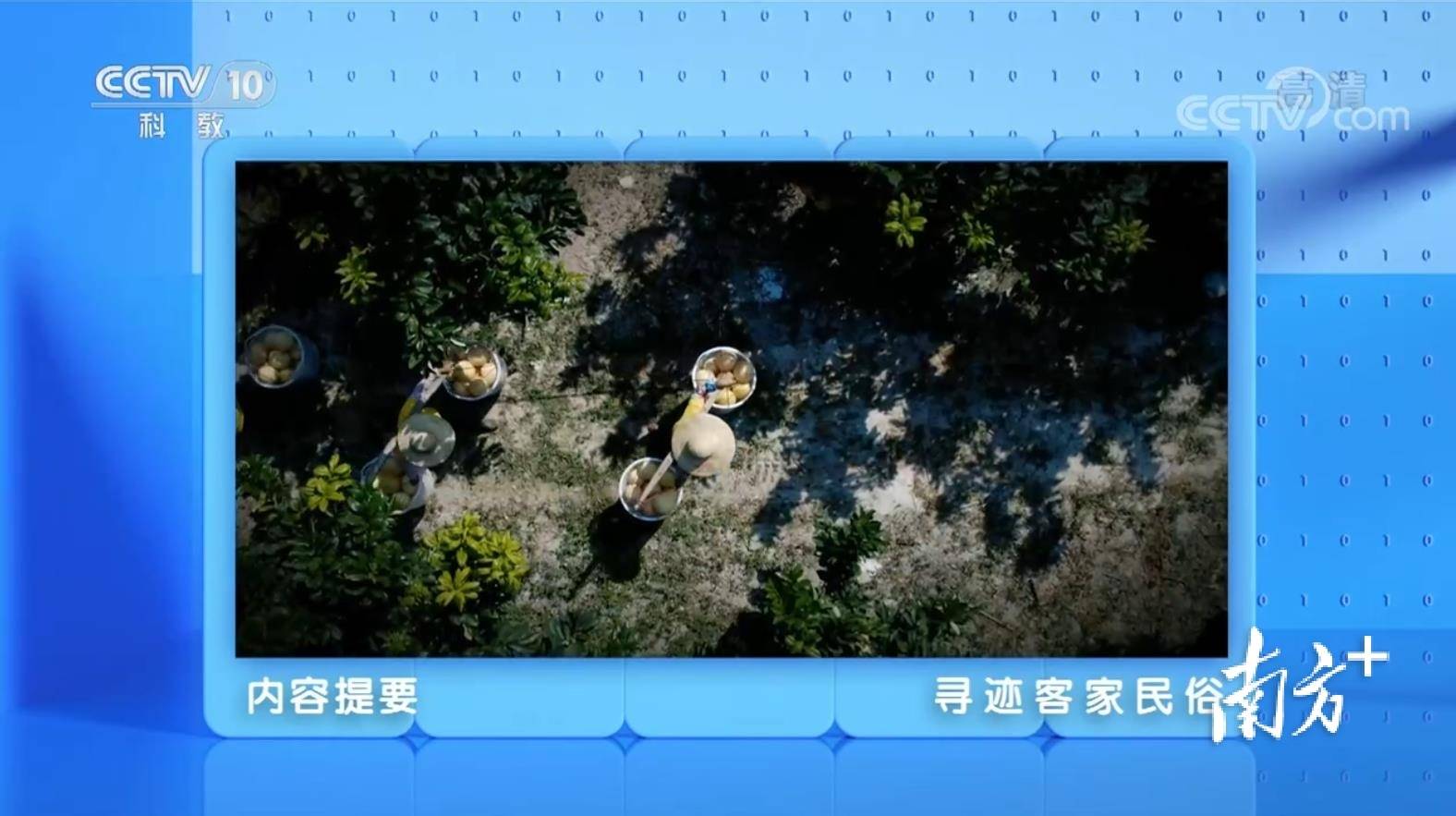 梅州再次亮相央视!这次是客家民俗→_节目_邱珂娜_地理