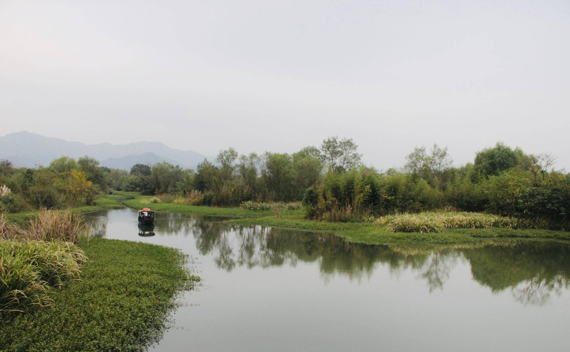 被誉为“杭州之肾”的西溪湿地值得去吗？网友：景色比西湖还美