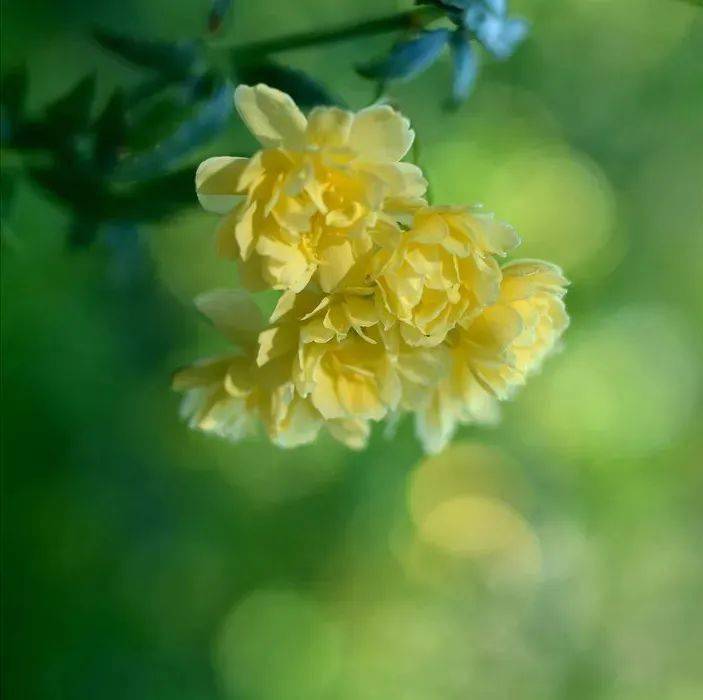 淡泊名利,才能拥有快乐人生_生活_星韵_韵之