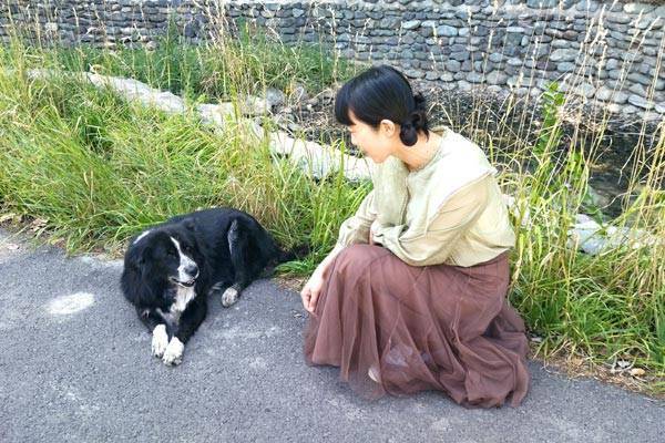 西山科技募资额比总资产1.5倍还多 实控人股