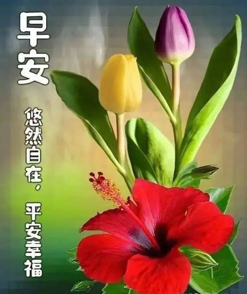 9月3日最新创意好看的早上好祝福图片带字 2022唯美早安问候祝福图片