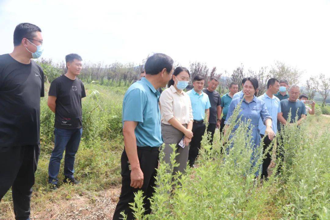 9月5日,碑廓镇党委副书记,镇长汤赛带队一行16人,到我镇资源生物科技