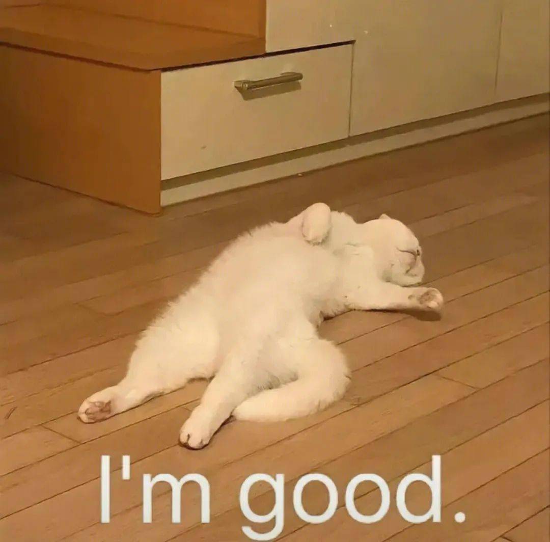 热门搞笑表情包 i 别把我烦死_爱情_一个人_熊猫头