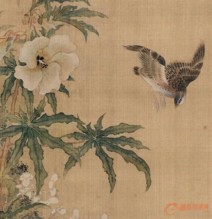 【名品视界】清代 沈铨 花鸟画作品欣赏_名家_艺术界_鉴定